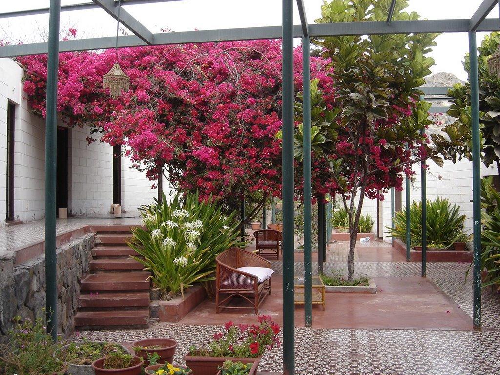 Hosteria Chanaral Esterno foto